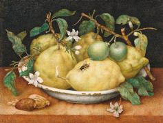 Картина Натюрморт с тарелкой лимонов, Гарцони Джованна